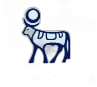 Novo Nordisk